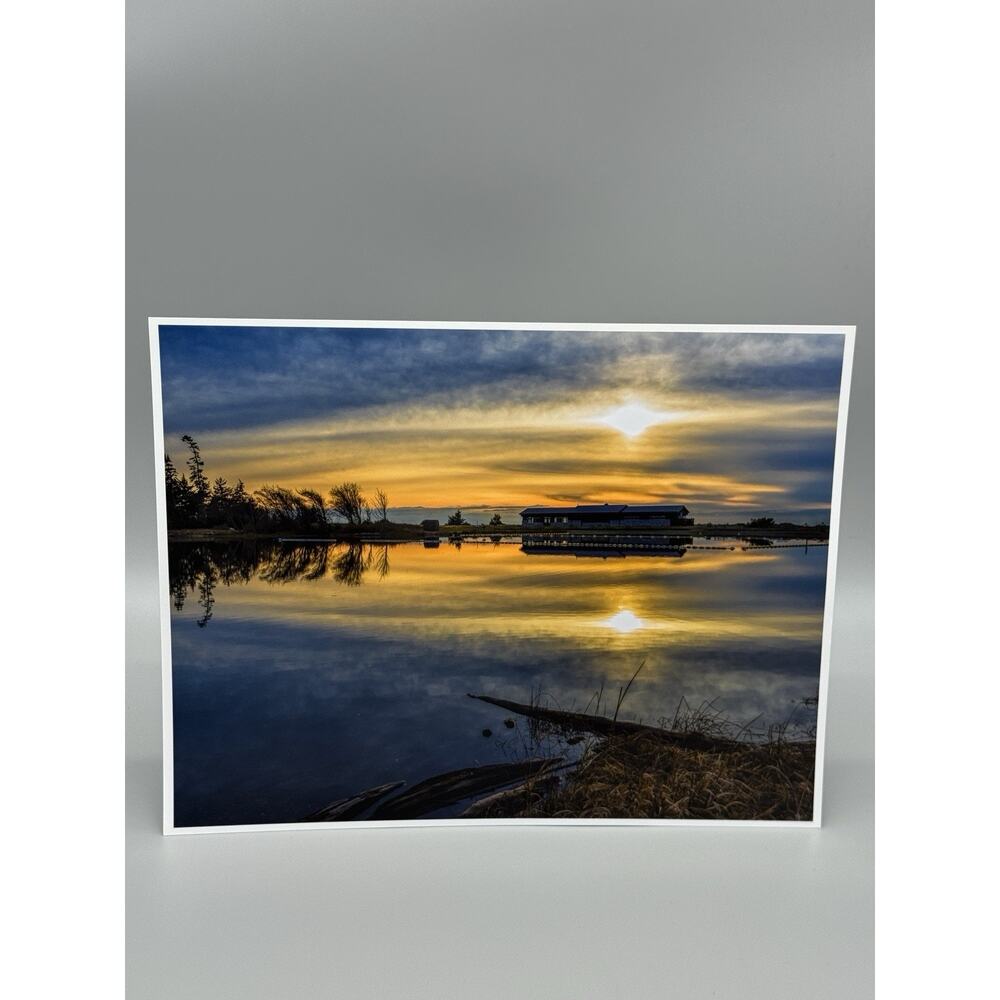 Lot Of 4 Lake Photographs W/ Sunset 11 X 8.5” Includes Color & Black White READ